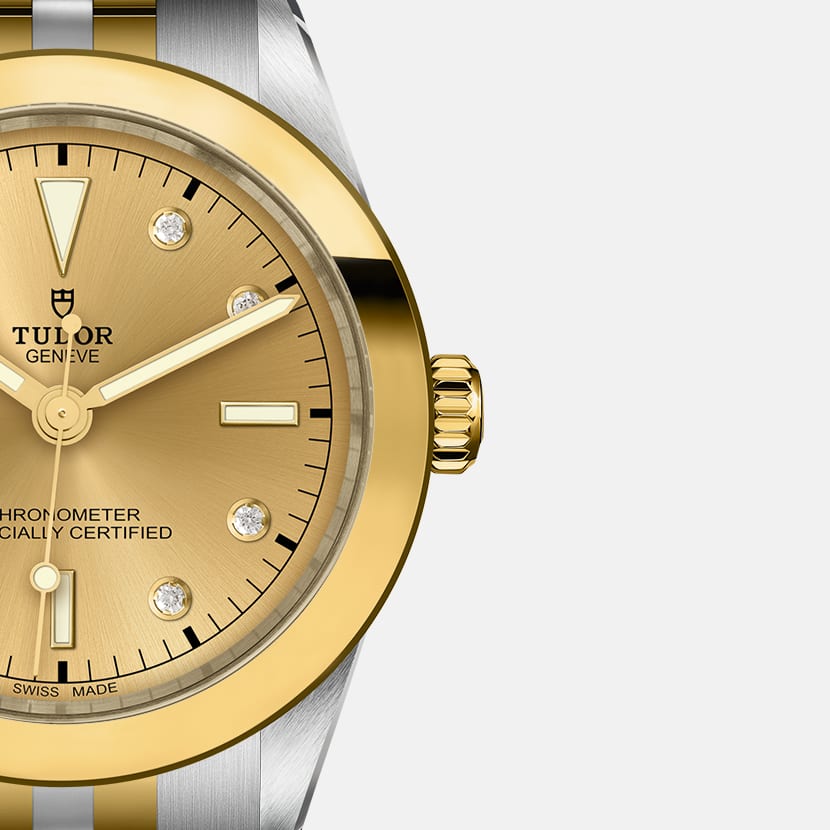 TUDOR Black Bay 39 S&G watch - m79663-0008 | TUDOR Watch