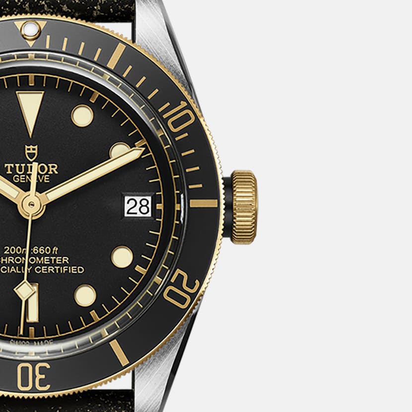TUDOR Black Bay S&G Uhr – m79733n-0007 | TUDOR Uhr