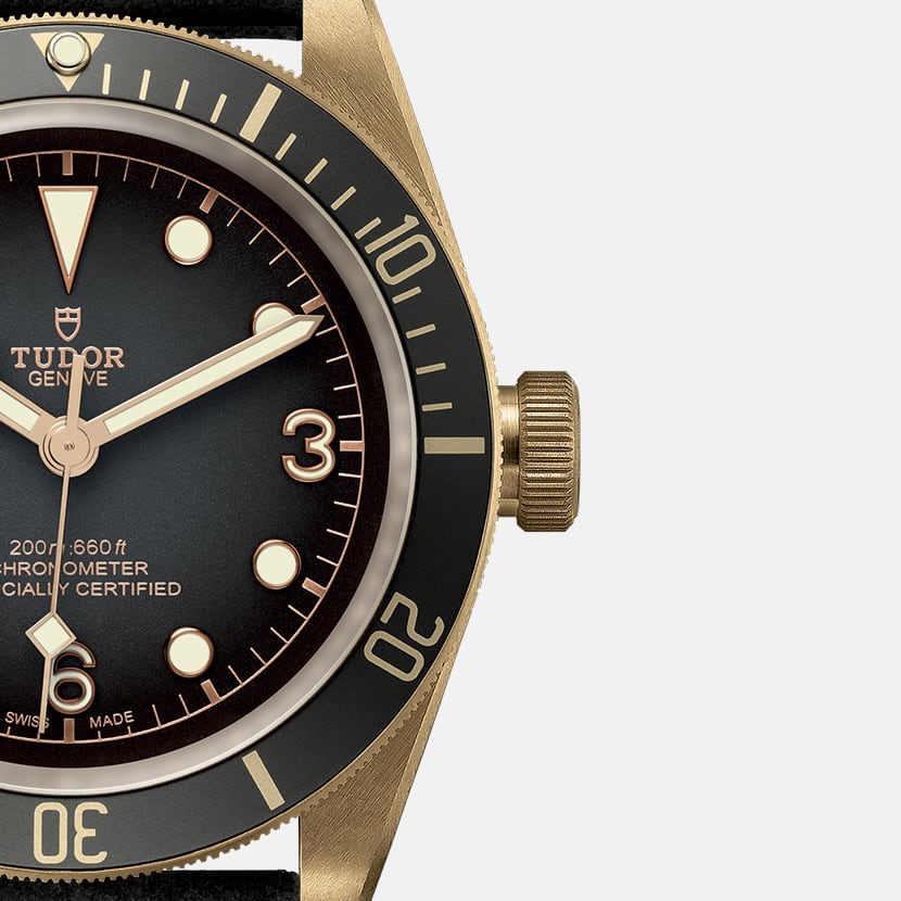 Black Bay Bronze