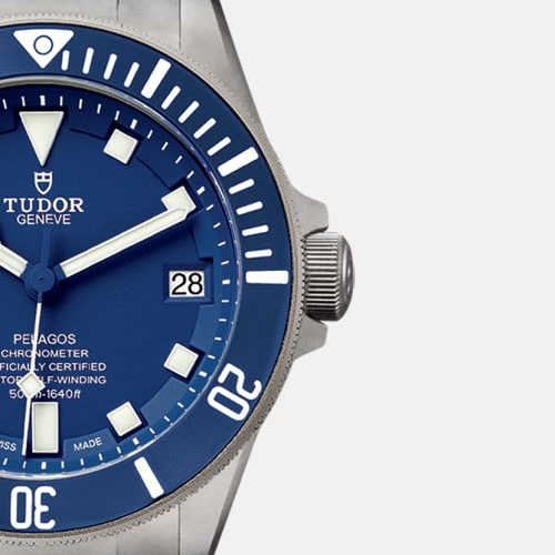 Tudor Pelagos 25600TB