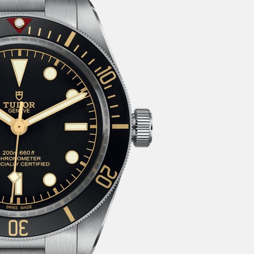 Tudor Black Bay 58 M79030N-0001