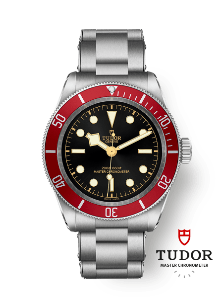TUDOR Black Bay S&G watch - m79733n-0008 | TUDOR Watch