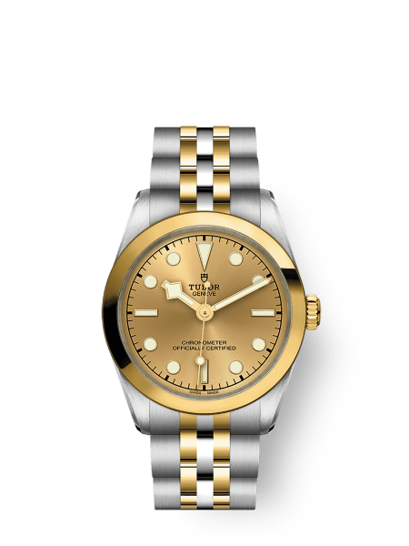 TUDOR Black Bay S&G Uhr – m79733n-0003 | TUDOR Uhr