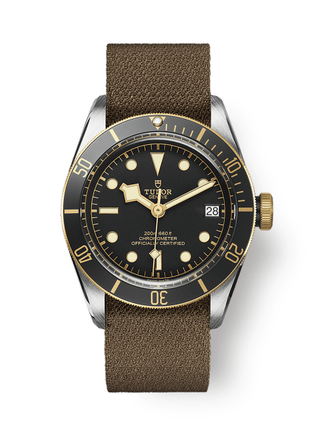 TUDOR Black Bay Watch collection