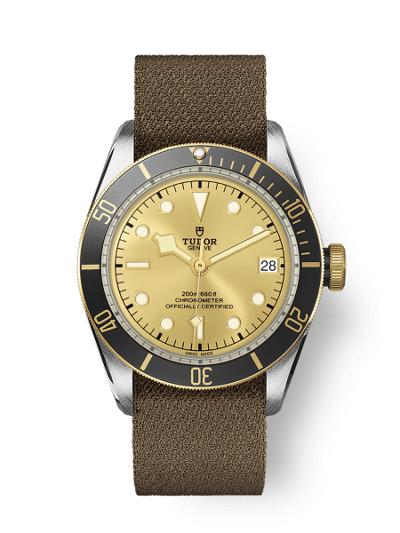 Tudor black bay s&g 79733n 2025