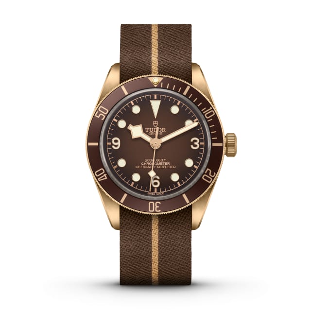 Tudor black bay 58 bronze hotsell