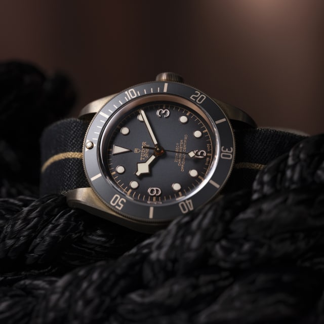 Tudor black bay 2019 2025