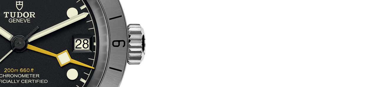 Black Bay Pro