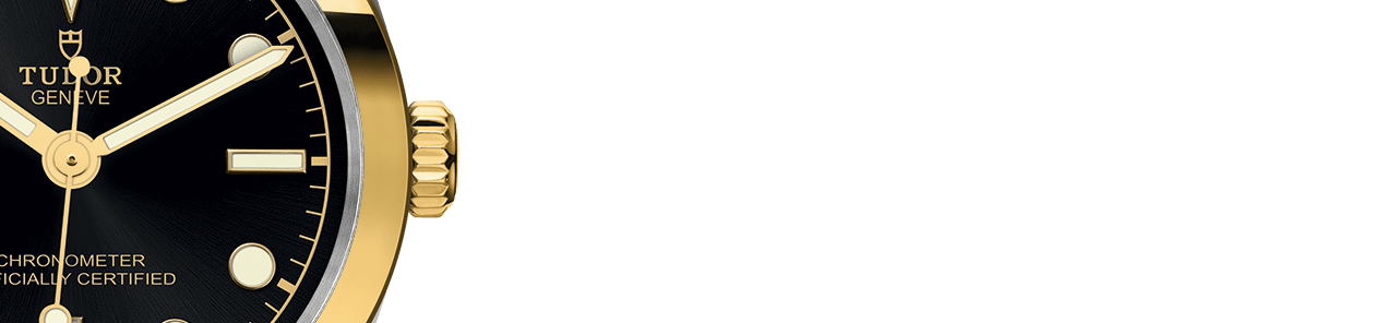 碧湾一型 31黄金钢款