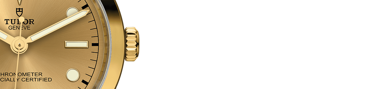 碧湾一型 36黄金钢款