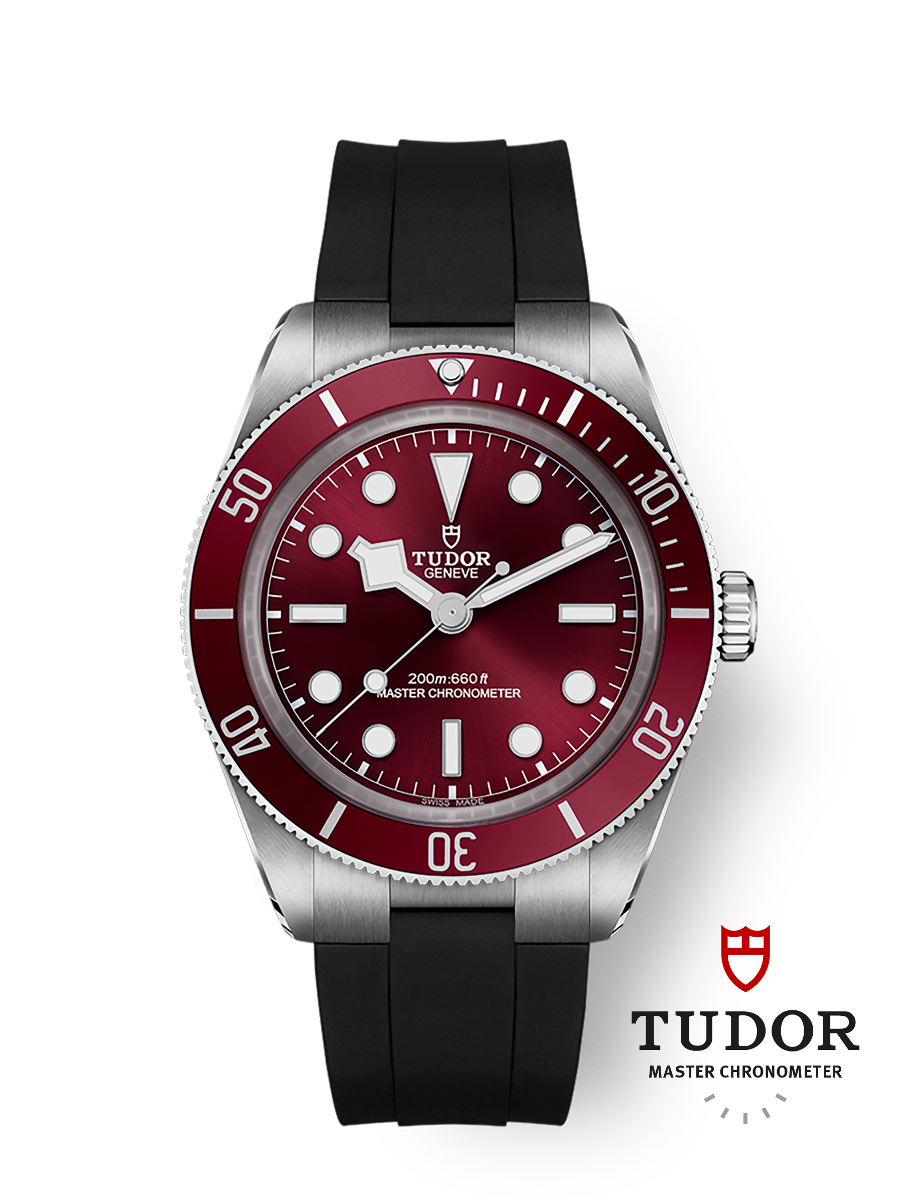 TUDOR シルバー ステンレススチール 腕時計 チューダー W&W2021新作 ダイバーズウォッチとして初のシルバー