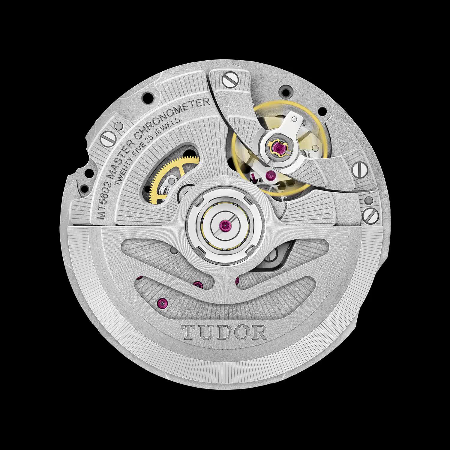 Discover the iconic TUDOR Black Bay watches TUDOR Watch